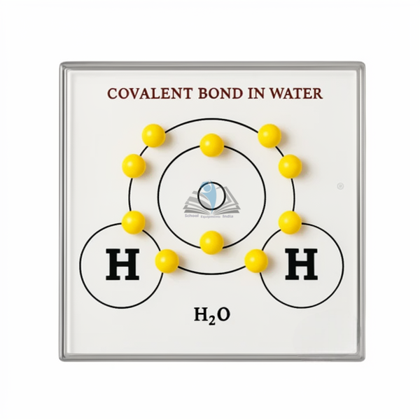 Covalent Bond in Water Model